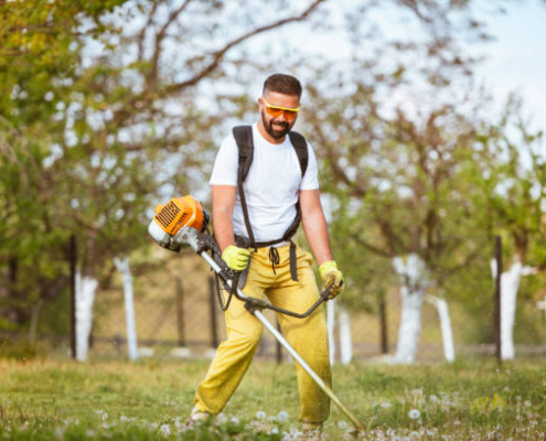 Giménez Forestal | Empresa de tala de árboles en Barcelona
